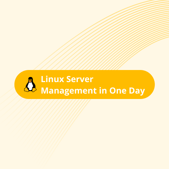 Professional Management of your Linux Server within 1 day